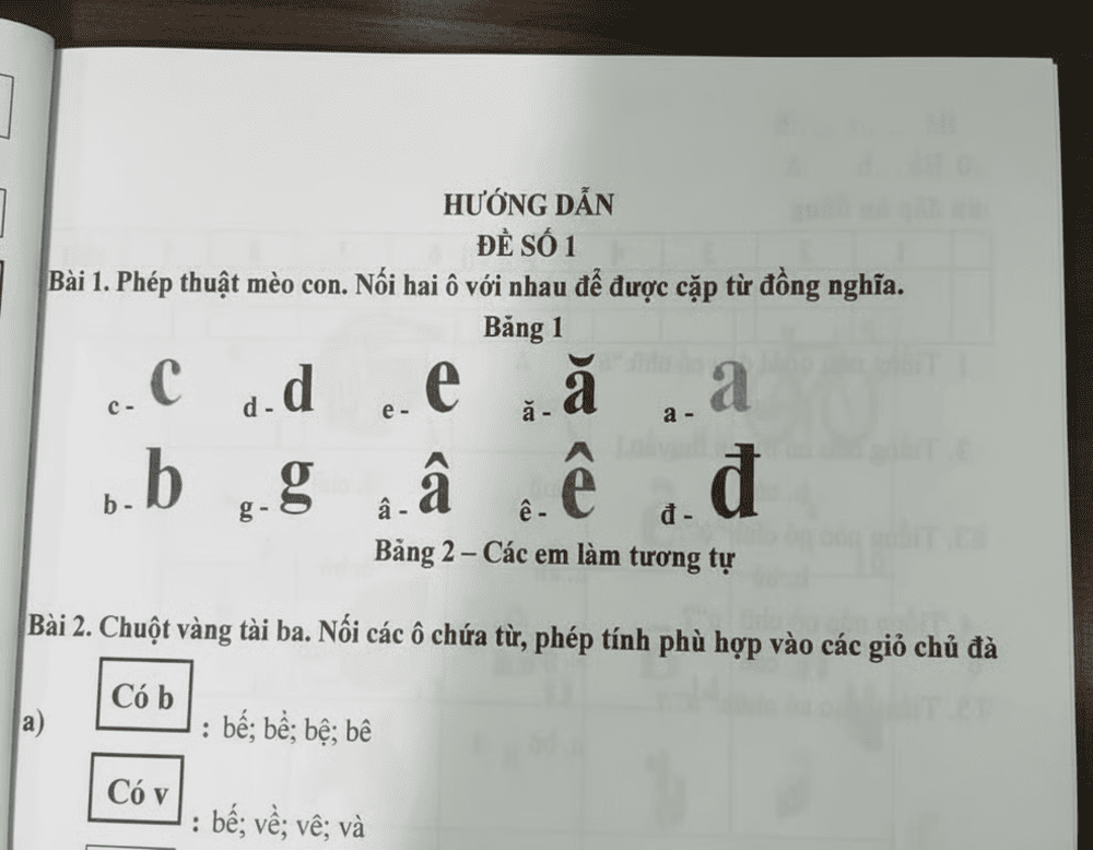 The combination of sounds and tones creates the beauty of Vietnamese (Source: Internet)